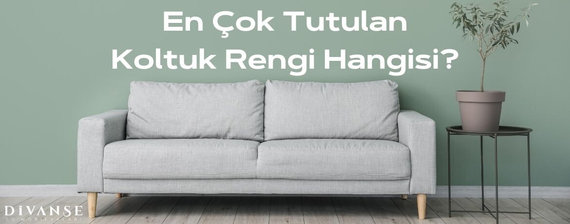 En Çok Tutulan Koltuk Rengi ve Özellikleri